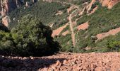 Trail Walking Saint-Raphaël - Cap Roux et grues depuis Belle-Barbe - Photo 11