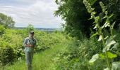 Tour Wandern Montjavoult - Montjavoult - Photo 9