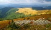 Excursión A pie Unknown - Popas Zugreni – Vf. Giumalău – gara Valea Putnei (blue dot) - Photo 1