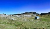 Randonnée Marche Saint-Agnan-en-Vercors - Rando ASPTT Pas des Econdus Pas  de Chabrinel - Photo 9