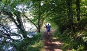 Trail Walking L'Orbrie - Boucle Mervent  - Photo 6