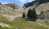 Tocht Stappen Saint-Agnan-en-Vercors - haut plateau depuis la coche  - Photo 3