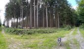 Trail Walking Libramont-Chevigny - Séviscourt - Photo 18