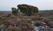 Tour Zu Fuß Unknown - Stensbæk Plantage - grøn vandrerute - Photo 4