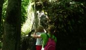 Trail On foot Houyet - GrWandArdRiv27: Gendron: een prachtig stuk Beneden-Lesse (PVDB) - Photo 14