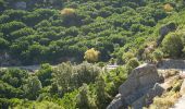 Percorso A piedi Dorgali - Sa Portiscra-Cala Luna - Photo 3