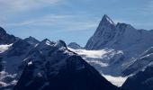 Tocht Te voet Grindelwald - Bachalpsee - Oberläger - Faulhorn - Photo 1