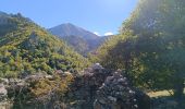 Randonnée Marche Vernet-les-Bains - Jour 1 Canigou 04.10.2022 - Photo 9