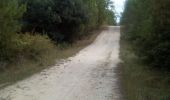 Tocht Stappen Le Grand-Village-Plage - Oléron 2 - Photo 1