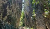 Tocht Trail Cheval-Blanc - Campanette-Bedoin-L’Ubac-Vidauque(25K 720D+) - Photo 1