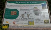 Trail Walking Seillons-Source-d'Argens - Seillons source d'Argens... rocher des abeilles... la bastidasse - Photo 3