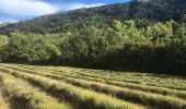 Randonnée Marche Vauvenargues - Sainte-Victoire (accès par Vauvenargues et GR9) - Photo 17