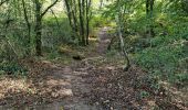 Excursión Senderismo Chamarande - Forêt Départementale du Belvédère à Chamarande - Photo 18