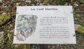 Trail Walking Brochon - Boucle des cent marches et du pavillon de l'empereur  - Photo 9