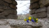 Tour Zu Fuß Dornburg-Camburg - Rundweg Camburg-Stöbnitz - Photo 1