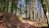 Trail On foot Betzdorf - Fleche Bleu Mensdorf - Photo 3