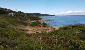 Excursión Senderismo Ramatuelle - PRESQU'ÎLE DE SAINT-TROPEZ - DE L'ESCALET AU CAP TAILLAT - Photo 14