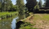 Trail Walking Arleux - Les marais d'Arleux - Photo 3
