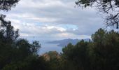 Trail Walking Piana - Calanques piana les roches bleues  - Photo 9