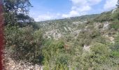 Tocht Stappen Gordes - Roundwalk from Hotel Les Bories with shortcut -With pictures, start/finish Sénanque - Photo 6