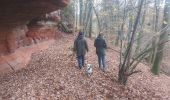 Randonnée Marche Liederschiedt - Le Sentier des Roches à Liederschiedt - Photo 11