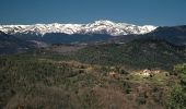 Randonnée A pied Montesquiu - Castell de Montesqiu-Coll dels Tres Pins - Photo 4