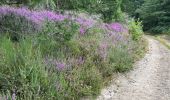 Excursión  Chaumeil - F 2024 Moneliete Correze - Photo 13