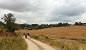 Excursión Senderismo Étourvy - ETOURVY  - Photo 1