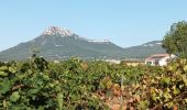 Randonnée Marche La Crau - château d Hyères-16-09-22  - Photo 1