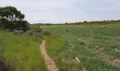 Trail Walking Merville-Franceville-Plage - HONFLEUR 06 - OUISTREHAM : Les Dunes - La Redoute (Normandie) - Photo 6