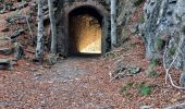 Tocht Stappen La Bastide - coll de palomere - Photo 8