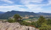 Trail Walking Dambach-la-Ville - Sommets et rochers - Photo 12