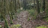 Trail Walking Entrelacs - SAPENAY / CLERGEON: GRANDE CUVE - Photo 2