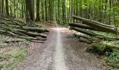 Trail Walking Hoeilaart - Grœnendael ouest + arboretum 9,8 km - Photo 4
