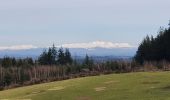 Randonnée Marche Meymac - Montagne du Cloup, les Farges - Photo 1