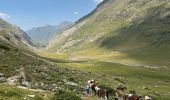 Trail Horseback riding Gavarnie-Gèdre - Gavarnie étape 4 - Photo 12