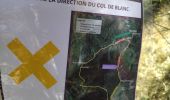 Trail Walking Bouvières - 26 mielandre 09.2023 - Photo 3