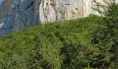 Excursión Senderismo Châtillon-en-Diois - 26 Chatillon en Diois - Cirque de d Archiane - Photo 2