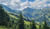 Tocht Stappen Abondance - Col de Bassachaux le lac vert 7 juillet 2022 - Photo 6