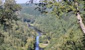 Tocht Stappen Houffalize - rando nadrin 10-09-2023 - Photo 2