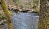 Randonnée Marche Bouillon - Les Hayons 110426 - Photo 11