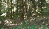 Trail Walking Plateau d'Hauteville - Forêt de Thézillieu - Photo 3