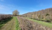 Tour Wandern Rochefort - rando ornitho belvaux 4-04-2023 - Photo 6