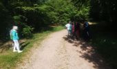 Trail Walking Renauvoid - marche - Photo 16