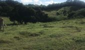 Trail Nordic walking Sainte-Anne - Modette  - Photo 1