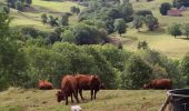 Randonnée Marche Mandailles-Saint-Julien - mandailles gite les pastures - Photo 15