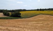 Excursión Senderismo L'Île-Bouchard - l'île-Bouchard - Brizay Theneuil Parçay-sur-Vienne - 24km 300m 5h10 (1h05) - 2024 07 24 - Photo 12