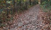 Trail Walking Cardeilhac - arboretum de cardeilhac  - Photo 2