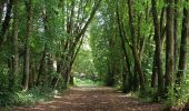 Trail Walking Assesse - Randonnée Laneville au bois - Photo 4