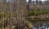 Tocht Stappen Stoumont - 20250309 - TOTEMUS RAHIER - - Photo 17